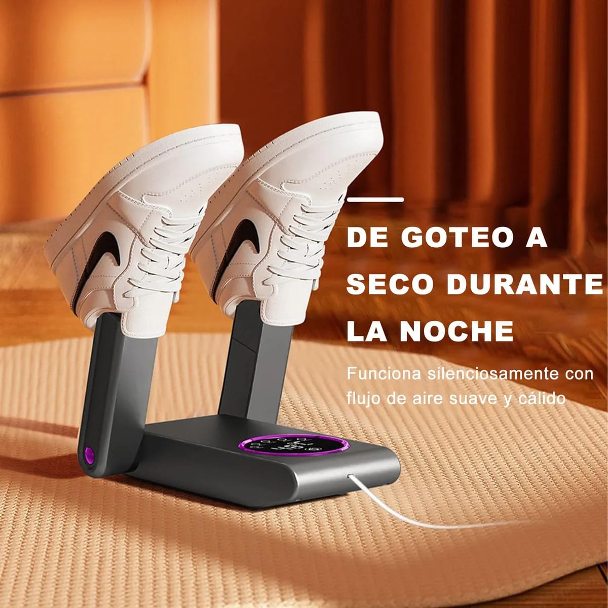 secador de zapatos eléctrico, desodorización